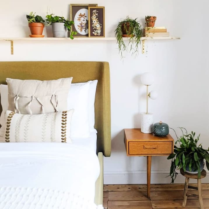A series of plants including a devil's ivy and a peace lily positioned in well-lit spaces in a bedroom