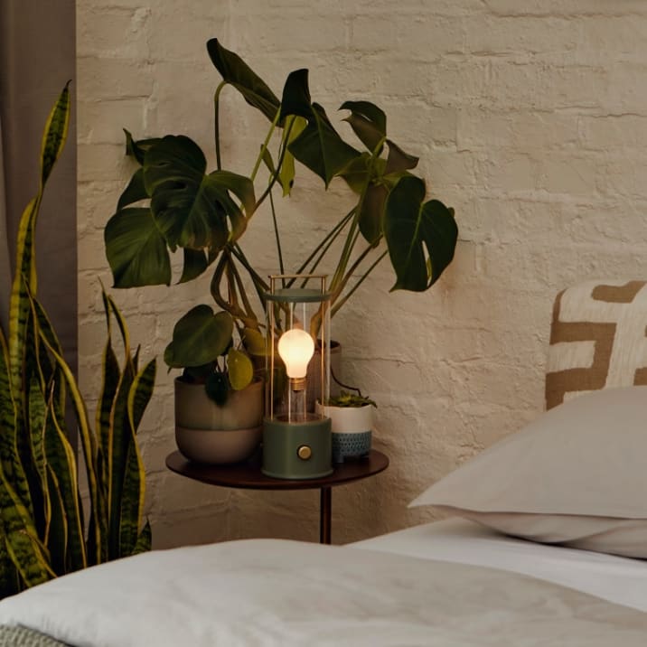 Monstera plant and lamp on a bedside table in a bedroom