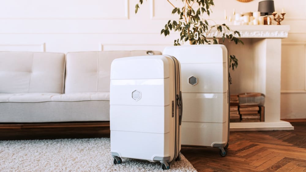 Two white suitcases in a living room in front of a small indoor tree