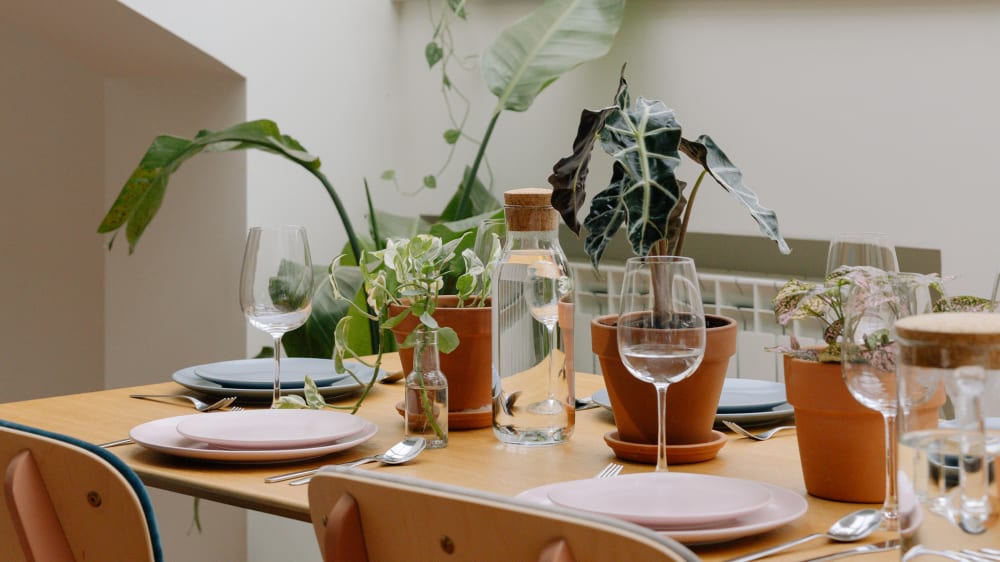 A set dining table in a kitchen with alocasia plants on it