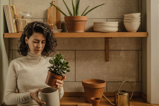 Woman in a kitchen holding a succulent