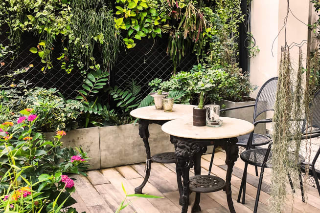 Outdoor plants in a patio garden with a table and chairs, flowers in planters and a trellis for climbing plants