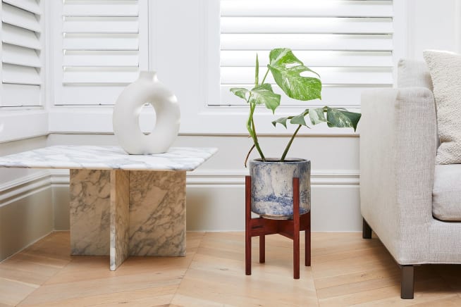 Varigated monstera in a blue fracture-patterned pot and plant stand in a living room window