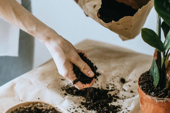 Close up of person holding potting soil