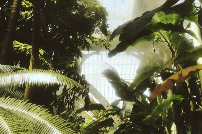 Large palm trees and other tropical plants grow tall, touching the top of a large glass greenhouse.