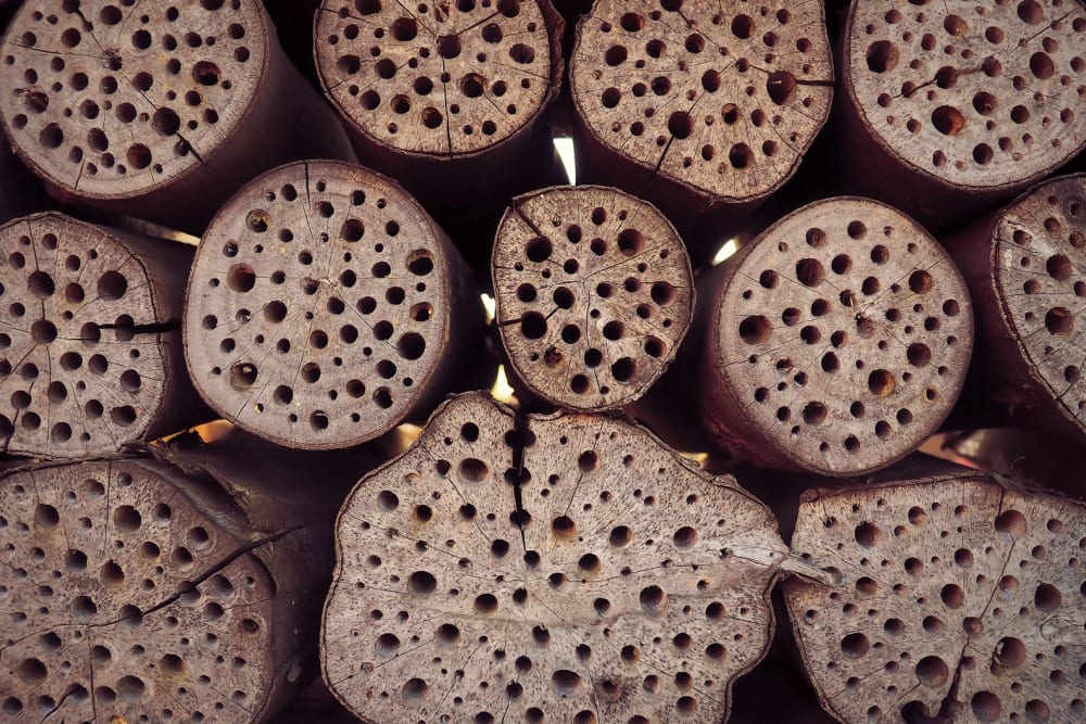 Stacked logs with holes drilled into them