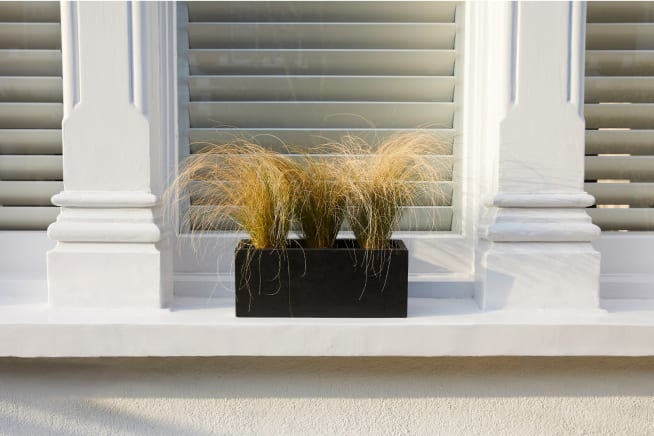 Three angel hair grasses planted in a black fibrestone trough on a windowsill