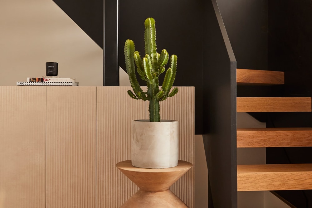 Large cactus in a grey concrete pot on a side table next to stairs in a living room