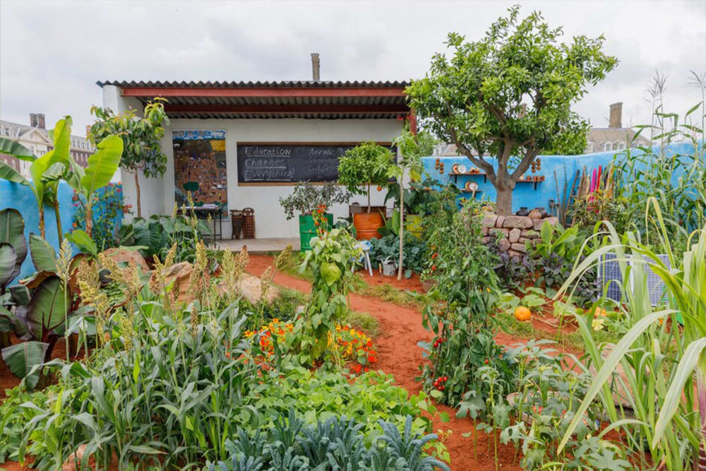 CAMFED garden from 2019 at RHS Chelsea Flower Show