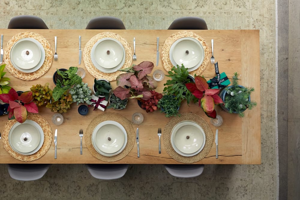 Birds-eye-view of a dinning table with plants scattered down the centre.