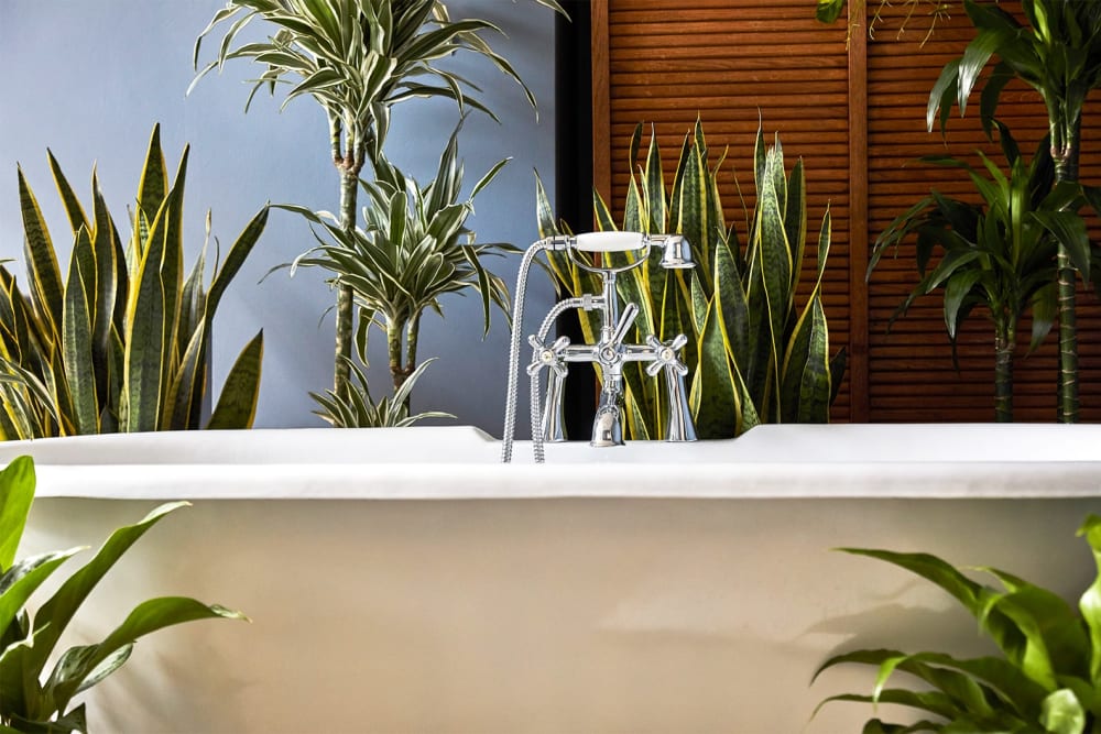 Two snake plants, and two corn plants behind a white bathtub