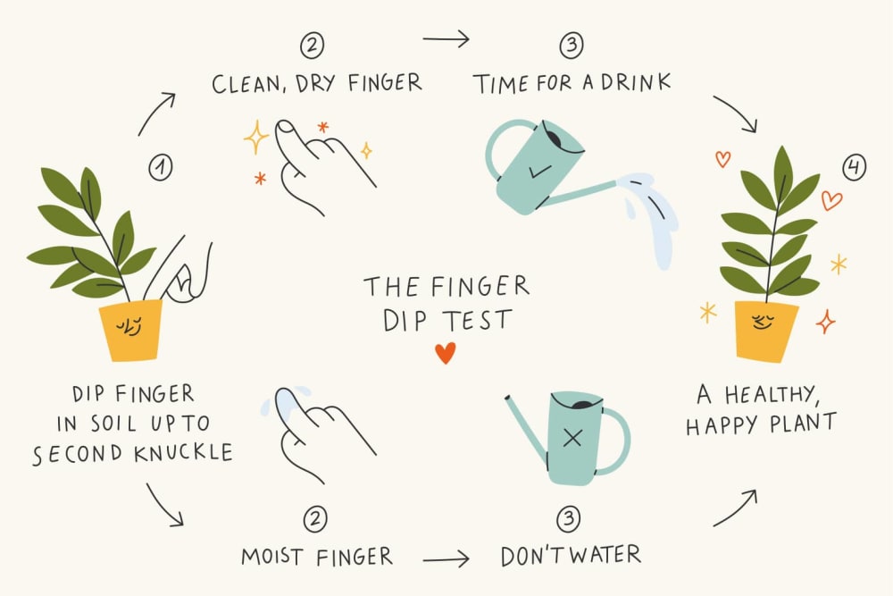 Finger dip test illustration