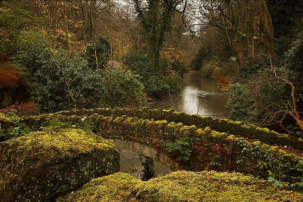 An old stone bridge, covered in moss, over a river. The river is surrounded by orange and green-coloured trees.