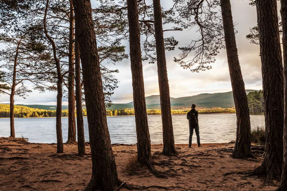 A man standing at the shoreline of the Loch, surrounded by trees.