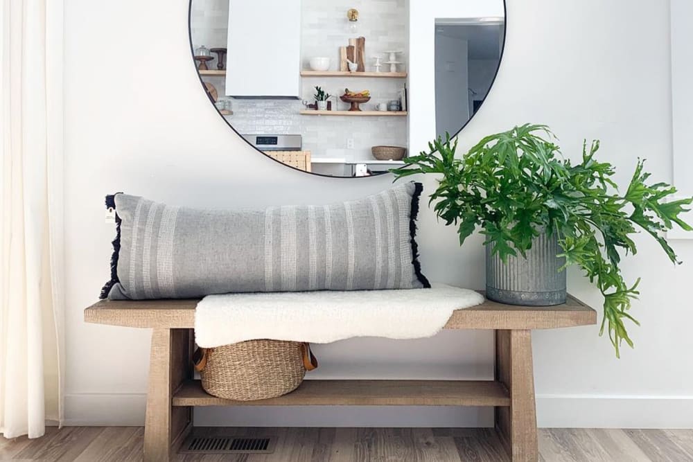 A philodendron in a grey pot on a wooden bench with cushions and a mirror in a hallway