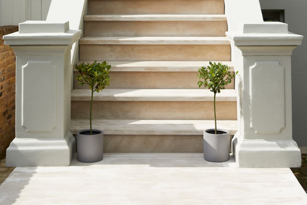 2x Holly Trees stand beside the bottom of steps heading to a front door