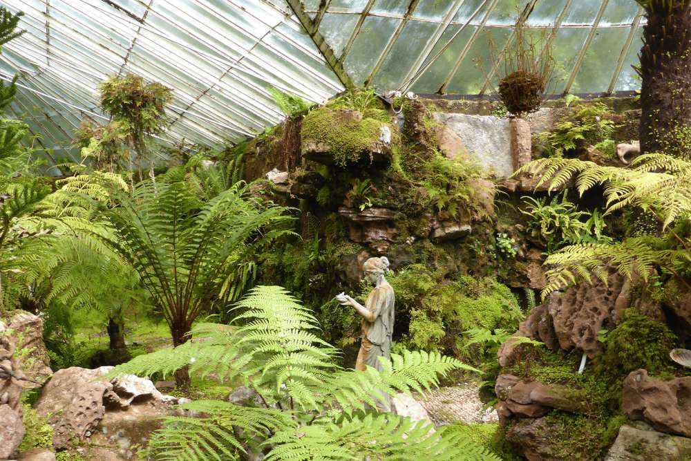 A stone statue of a woman is surrounded by large fern plants and rock formations covered in moss, inside of a greenhouse with glass that has moss and small greenery in its edges.