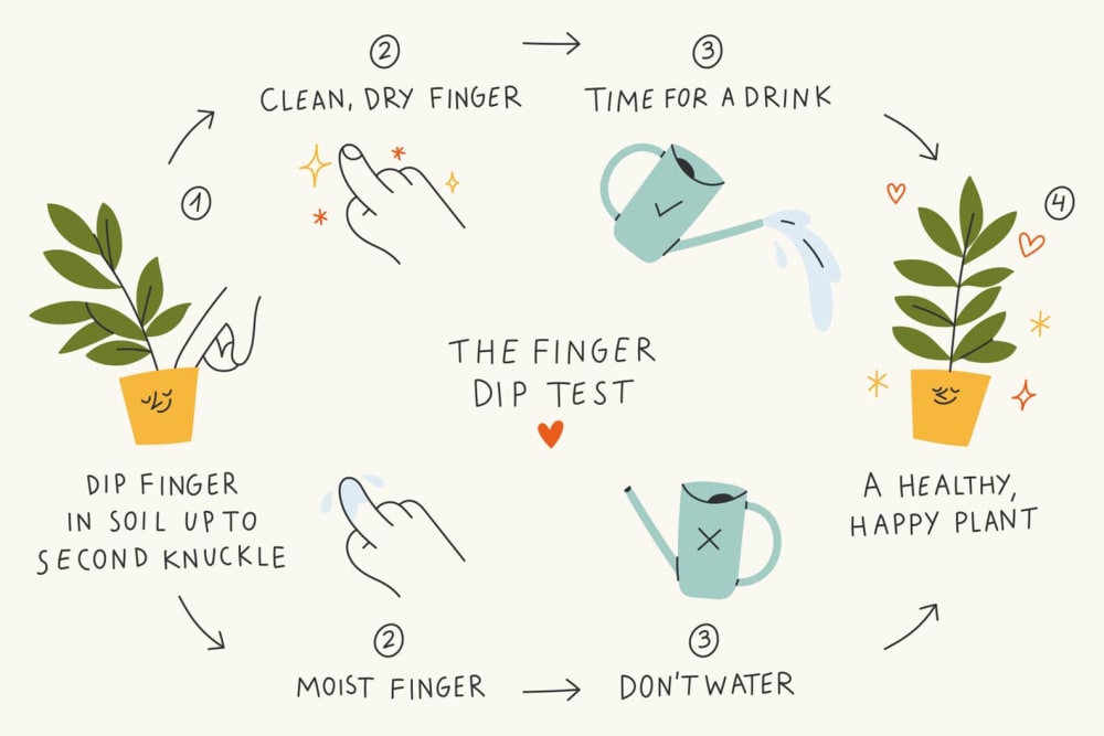 finger-dip test illustration