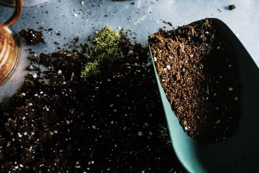 Close-up of a pile of potting compost and a trowel