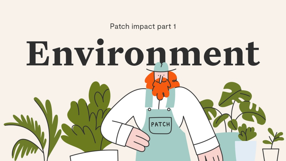 Patch impact part 1: Environment - illustration of a grower