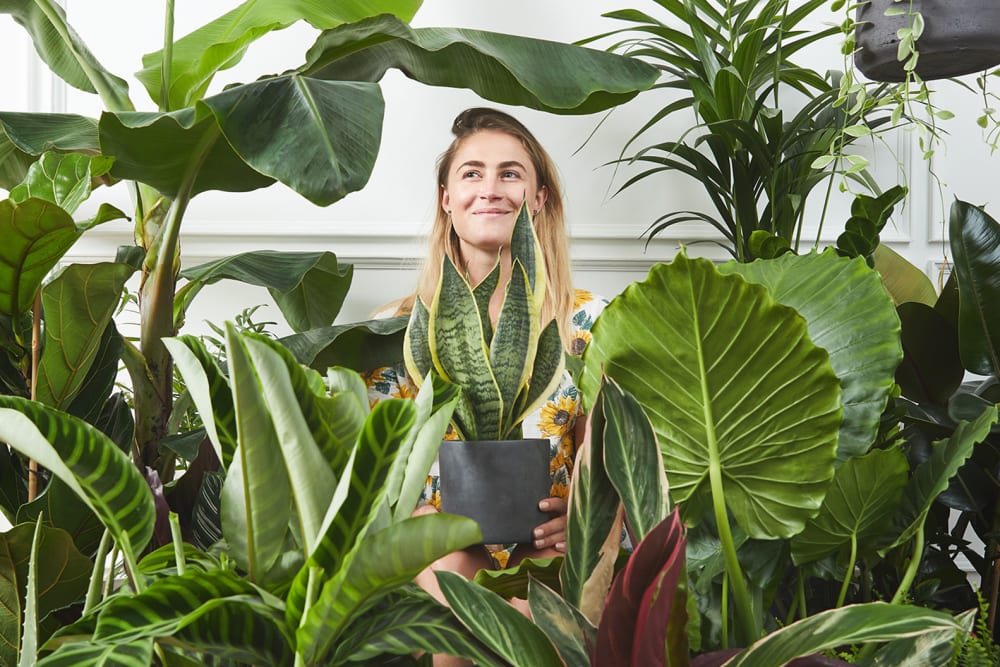 Patch customer surrounded by plants in a living room