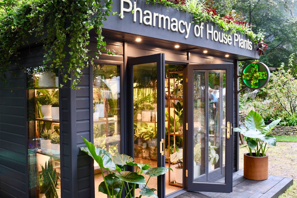 The Patch silver-gilt medal winning Pharmacy of Houseplants exhibit at the RHS Chelsea Flower Show 2021