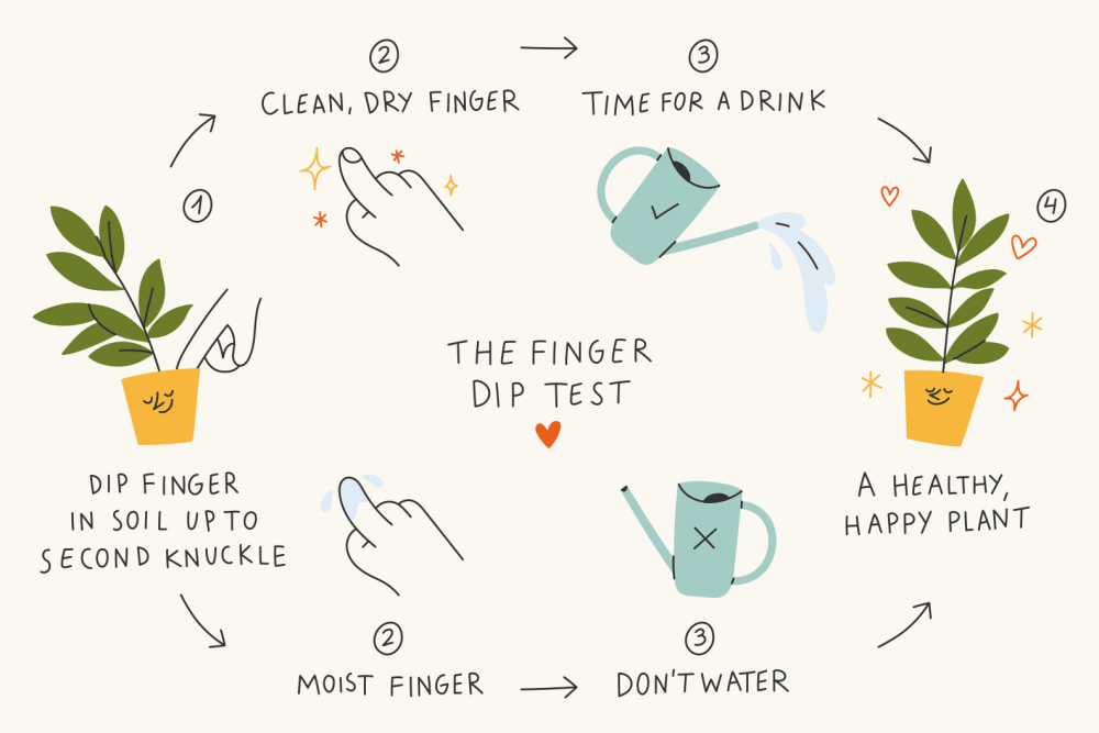 An illustrated diagram of the finger dip test